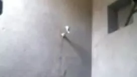 টেবিল জার্মান ফুল সে ...