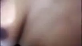 প্রারম্ভিক রিলিজের প ...