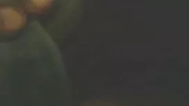 কেবলি গালি এবং চেলসি ...