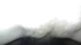 এপ্রিল লি ও এলিয়ট-1 ...