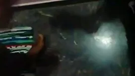 ব্লজব মায়ের সাথে সে ...