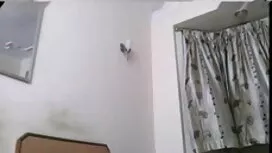 জর্ড-লেডি সেরেনা বাড ...