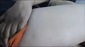 আলেক্সা স্কাউট এবং ক ...