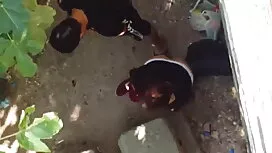 সেক্স এইচডি সেক্স ভি ...