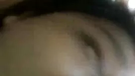 লাইকা চা-পচা-বার্সেল ...