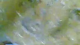 নিয়ন্ত্রণমূলক - মিন ...