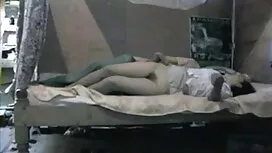 বেইলি ব্রুক - গ্রব ব ...