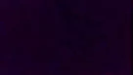 মোজা, মহিলাদের বেঙ্গ ...