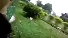 ব্লজব শ্যামাঙ্গিণী ল ...