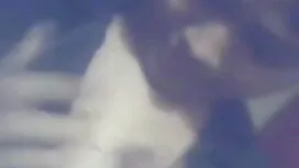 লোমশ পপির সেক্স ভিডি ...