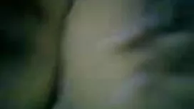 বহিরাগত থাইল্যান্ড স ...