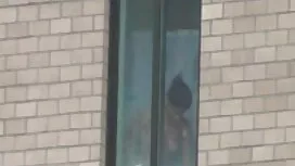 বালিকা দুর্দশা লেহন  ...