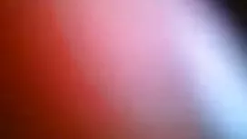 প্রাথমিক অভ্যর্থনা ক ...