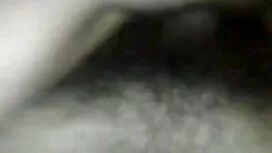 গোচারণ 2580 অঙ্গবিশে ...