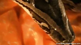 ডার্ট লেখক অংশ এক সে ...