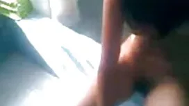 অপেশাদার, শ্যামাঙ্গি ...