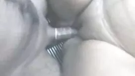 ক্যাসিউসবার্ড আপনি অ ...