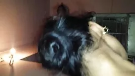 কালো মেয়ের হার্ডকোর ...