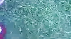 বড়ো মাই রেশমা সেক্স ...