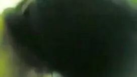 পুরুষ সমকামী ফাদার স ...