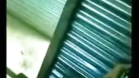 স্বাধীনতার জন্য লড়া ...