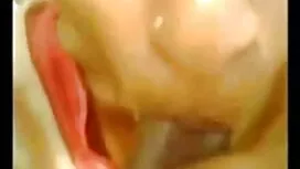 রাশিয়ান-2016-2017 ব ...