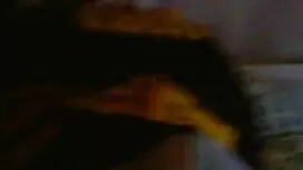 সেক্সি, ট্রান্স মেয় ...