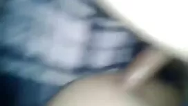 ছবি গ্যালারীর থাম্বন ...