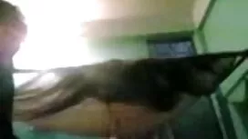 সুন্দরী জংলি সেক্স ভ ...