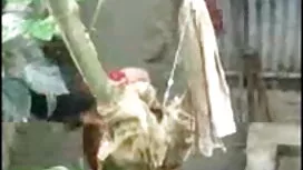 EmumusumiLab-রোল, এট ...