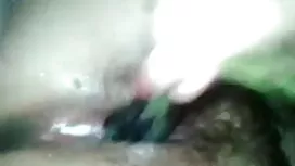 স্প্যানের শ্রীমতি ডি ...