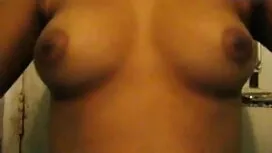 লেডীবয় বিড়াল উভয়  ...