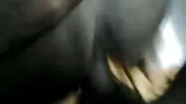 নিকি ভালবাসে ভিআইপি  ...