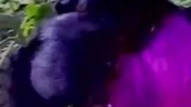 জোজো উপর তার নতুন দু ...