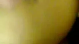 স্বর্ণকেশী, সুন্দরি  ...