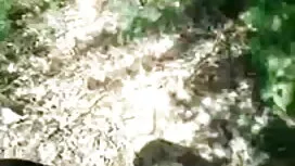 ক্যাসি বেত ফাইলিং-অং ...