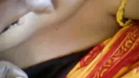 পর্নো সাইটসমূহের পূর ...