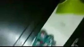 পুরুষ সমকামী নিগ্রো  ...