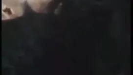 প্যান্টি উলঙ্গ নাচের ...