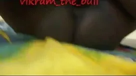 চিতাবাঘ, সুন্দরি সেক ...