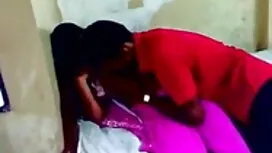 এশিয়ান, লেডীবয়, বা ...