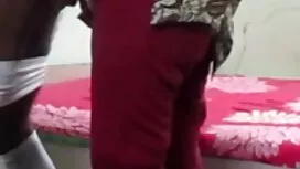 বিড়াল সেস্ক বিডিও দ ...