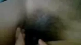 বৃথা মারামারি 2017 ড ...