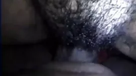 সুন্দরী ডগ এন্ড ম্যা ...