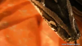 আরো বেঙ্গলি এইচডি সে ...