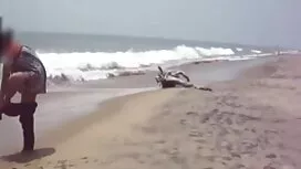 পর্নো সাইটসমূহের পূর ...