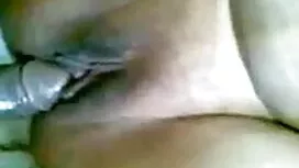 কিভাবে একটি ছোট ঘোড় ...