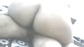 পর্নোতারকা, ক্সক্সক্ ...