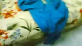 পর্নোতারকা, বড়ো বুক ...