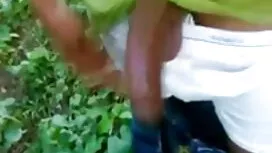 ট্রান্স500-কম টান কো ...